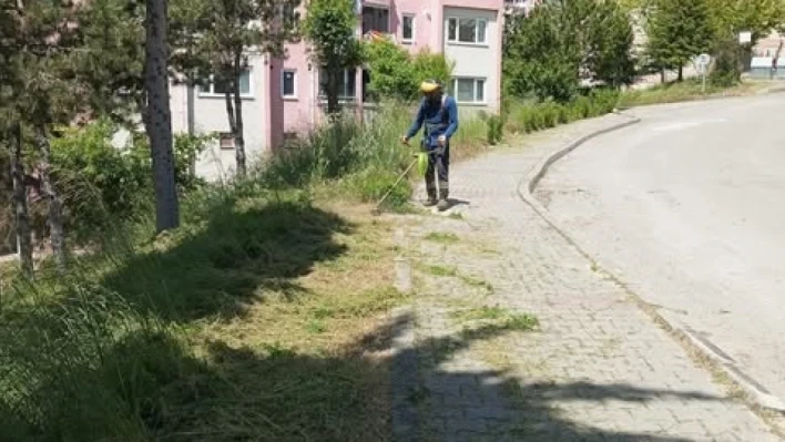 Yabani ot temizliği Hürriyet Mahallesi ile devam etti