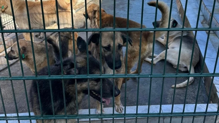 Bartın Belediyesi’nden çağrı