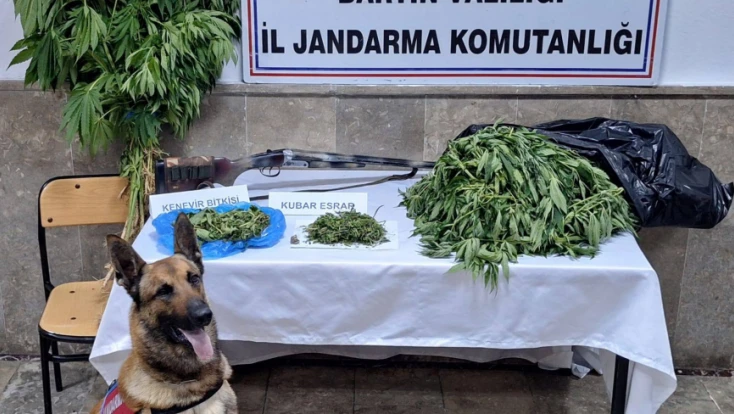Jandarmadan Uyuşturucu Operasyonu