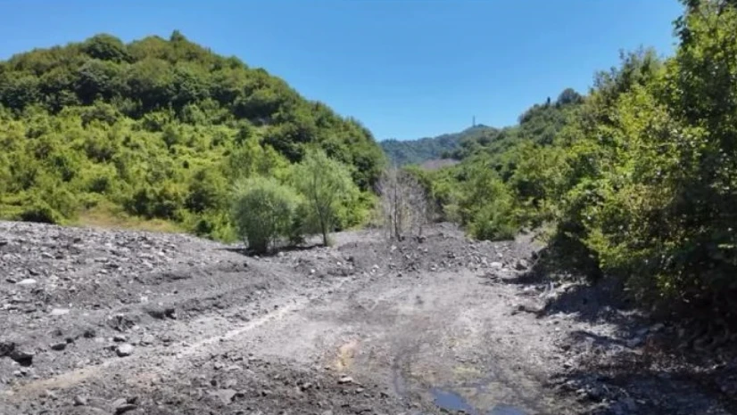 Bartın Platformu'ndan Tarlaağzı Plajı Açıklaması: Dava 12 Şubat'ta