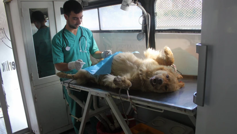 Başkan Çakır'dan Eleştirilere Yanıt