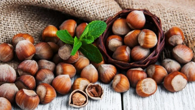 Fındıkta Dolu ve Afet Riskine Karşı Sigorta Çağrısı