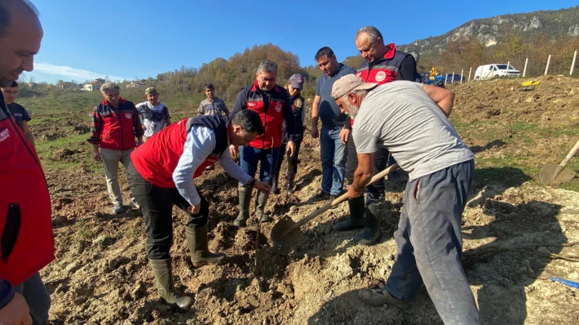 Bartın'ın İlk Modern Tek Dal Fındık Bahçesi Kuruldu