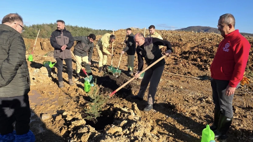 İnkumu'ndaki Eski Maden Sahası Yeniden Yeşeriyor