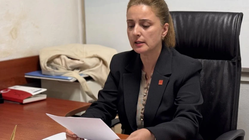 Özdemir: 'Çare eşitlikte, çare eşit temsilde!'