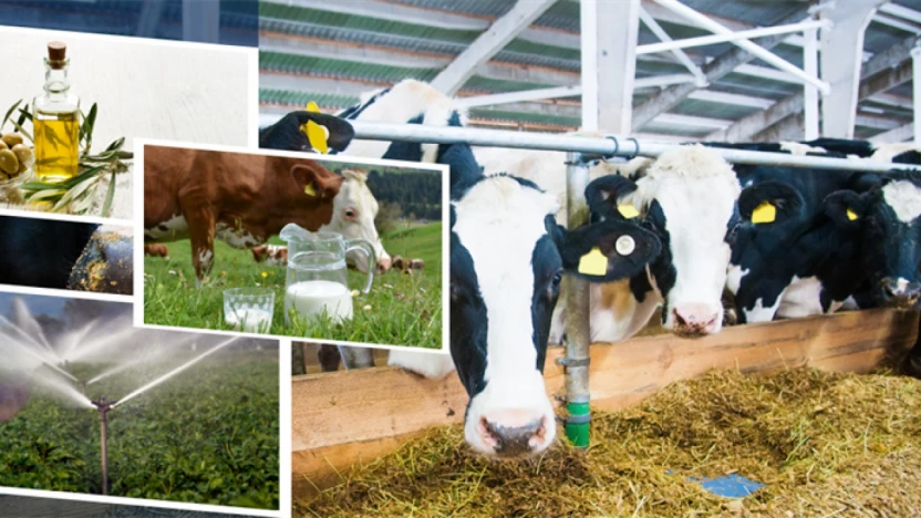 Tarımsal Destekler Yatırılıyor