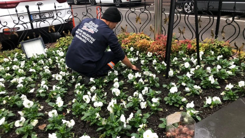 Yeşil Bartın İçin Çalışmalar Devam Ediyor