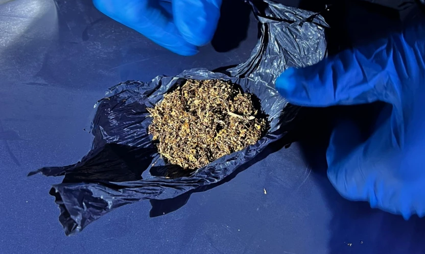 Amasra Emniyetinden Uyuşturucu Operasyonu