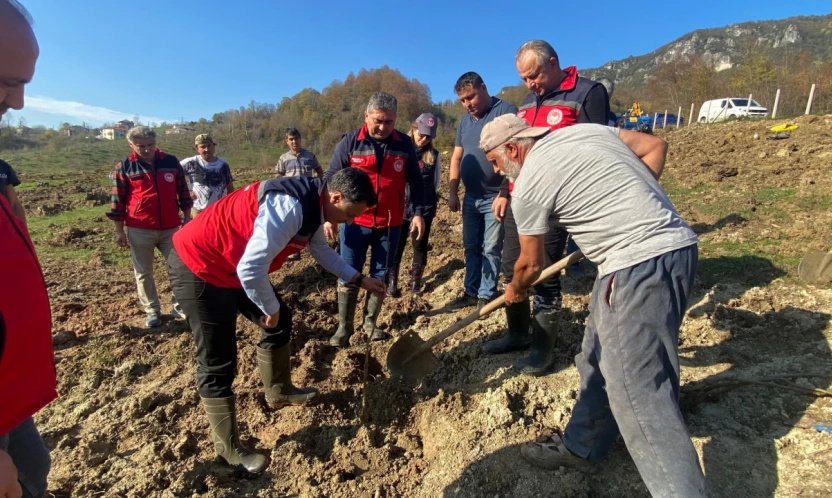 Bartın'ın İlk Modern Tek Dal Fındık Bahçesi Kuruldu