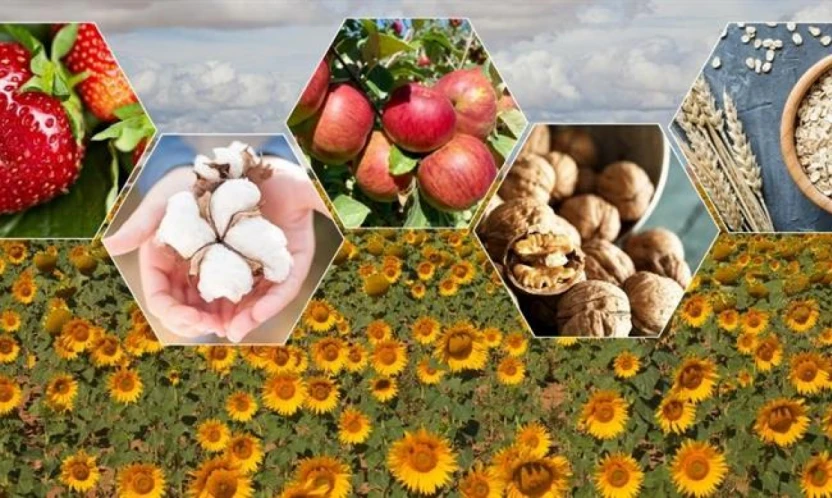 Bartın ve Türkiye genelinde tarımsal üretimde düşüş bekleniyor