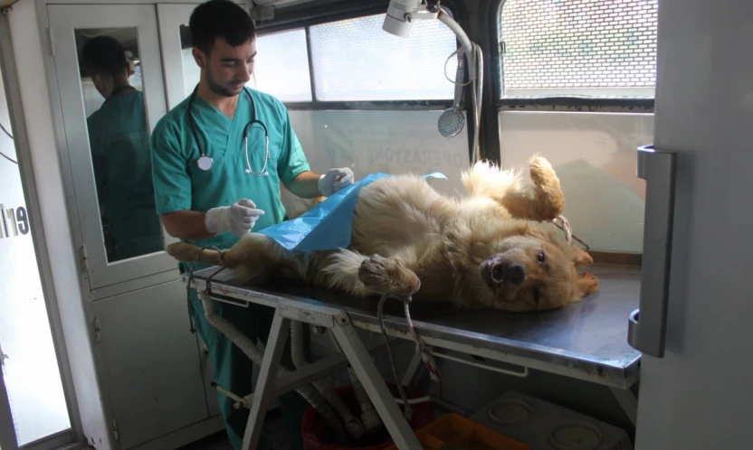 Başkan Çakır'dan Eleştirilere Yanıt