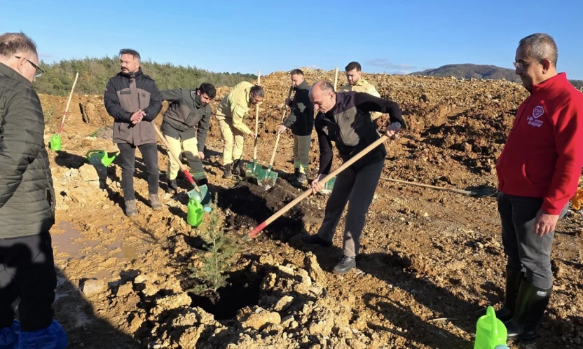 İnkumu'ndaki Eski Maden Sahası Yeniden Yeşeriyor